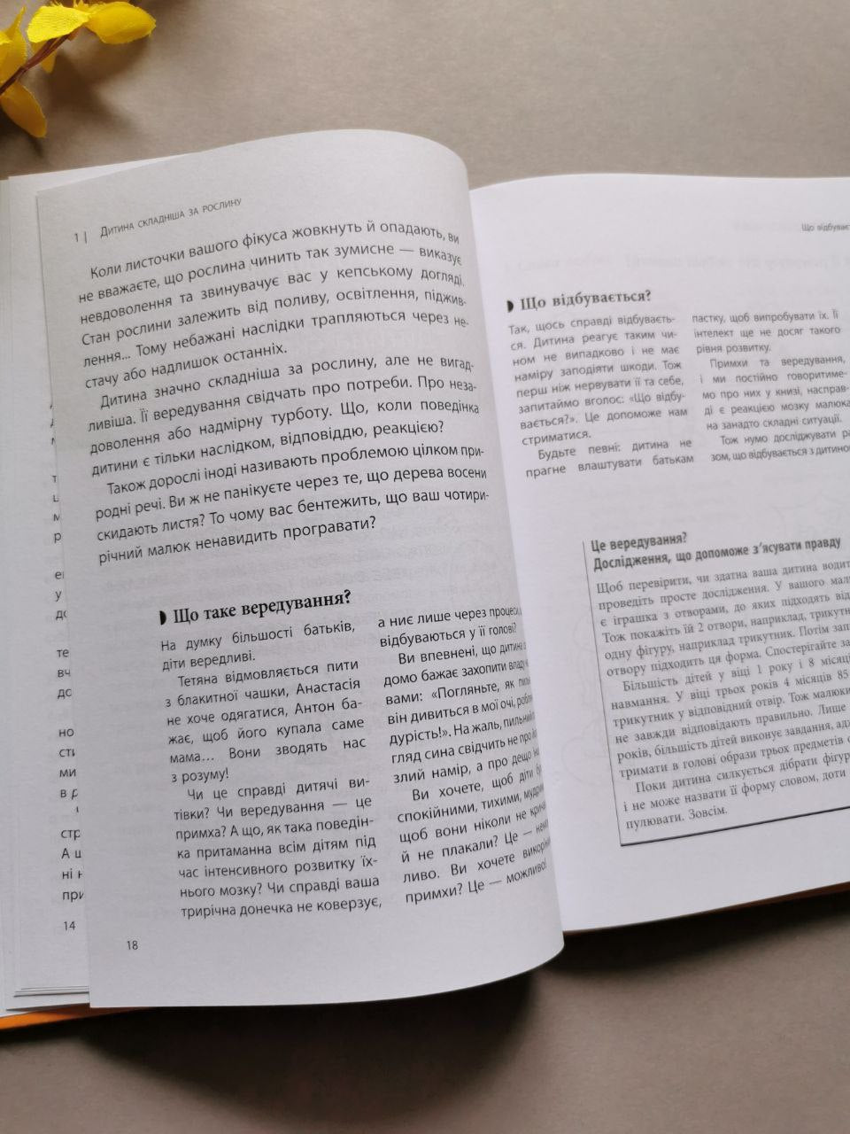 Для турботливих батьків. Я спробувала все! Упертість, плач та напади гніву: долаємо без перешкод період від 1 до 5 років.
