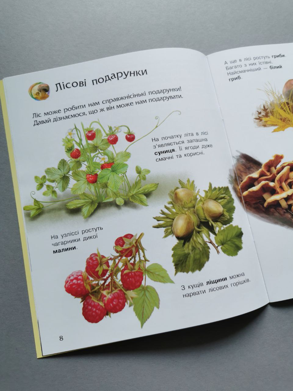 Енциклопедія дошкільника (нова) : Природа