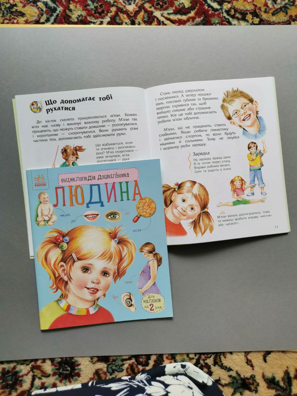 Енциклопедія дошкільника (нова) : Людина