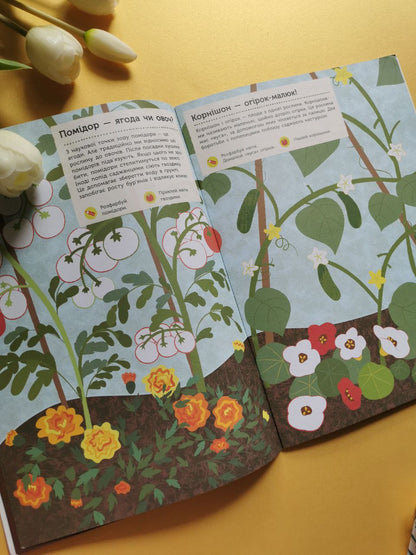 Моя книга природи : На городі