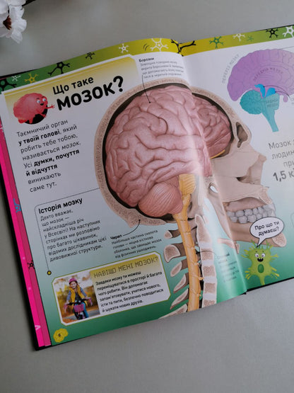 Розширення світогляду : Карколомний мозок. Імпульсивні нейрони, мінливі синапси, хвостаті аксони