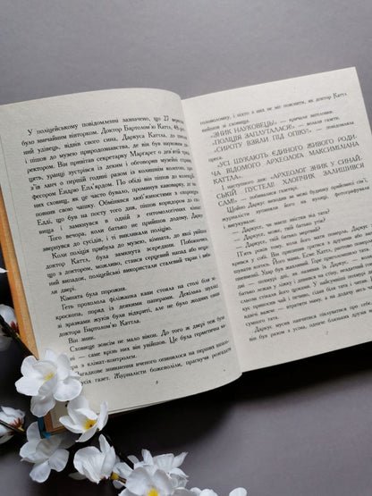 Битва жуків: Хлопчик жук