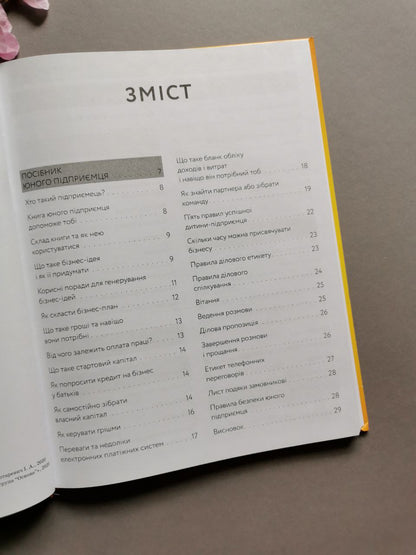 Корисні навички. Книга юного підприємця. 9 детальних планів своєї справи для підлітків.