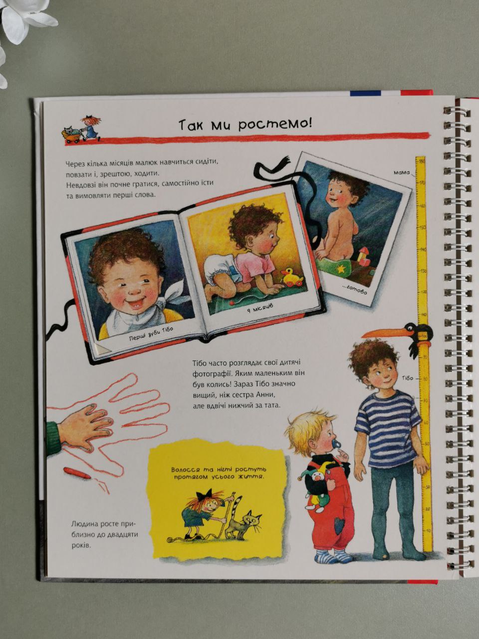 Чому? Чого? Навіщо? Досліджуємо власне тіло