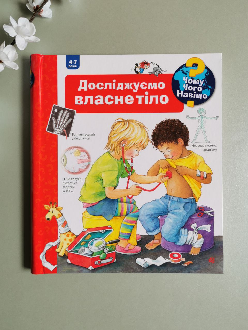Чому? Чого? Навіщо? Досліджуємо власне тіло