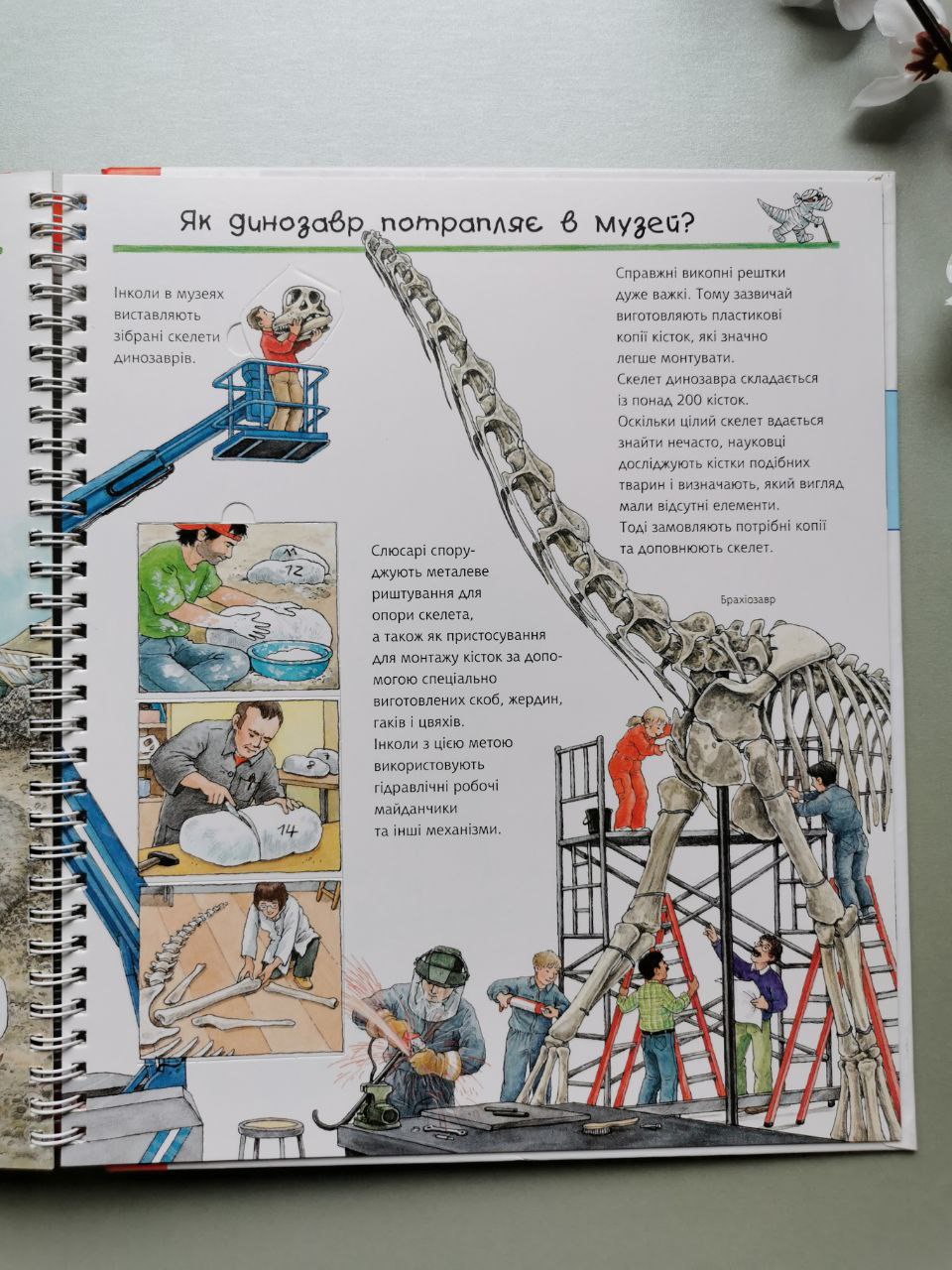 Чому? Чого? Навіщо? Відкриваємо світ динозаврів