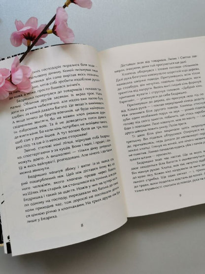 Книга "Хільбудій. Позичене ім'я"
