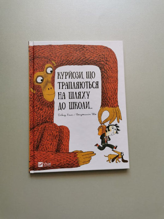 Курйози що трапляються на шляху до школи
