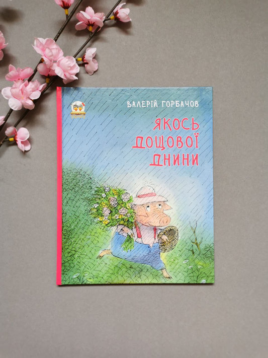 Книжки-картинки: Якось дощової днини (Українська)