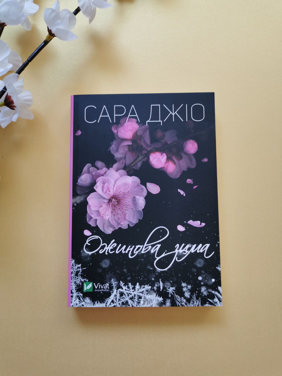 Ожинова зима (мʼяка обкладинка)