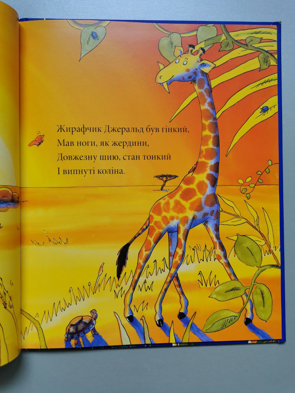 Жирафи не танцюють. Джайлз Андре