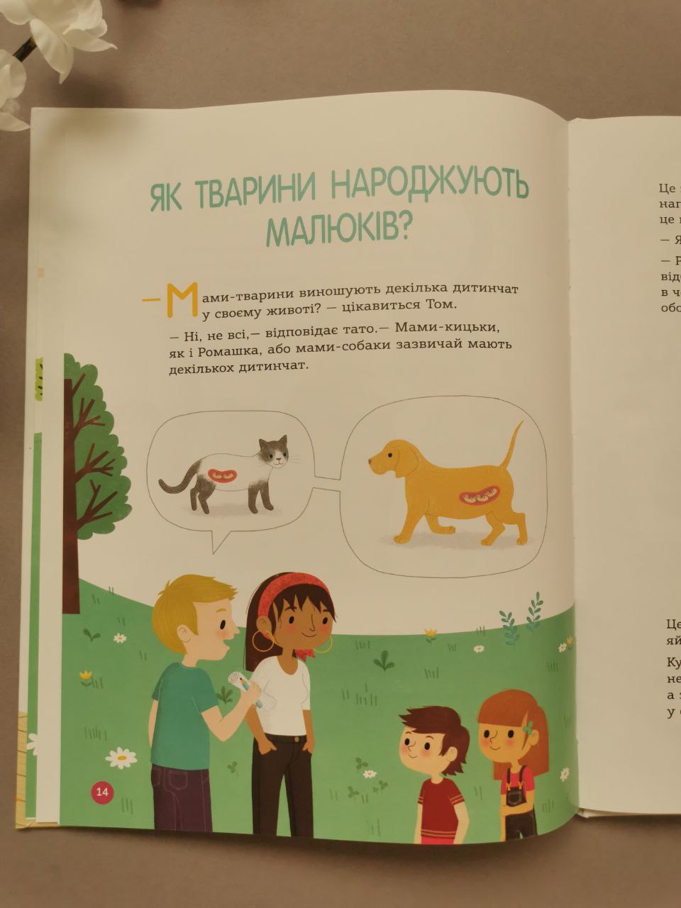 Енциклопедія статевого життя 4-6 років