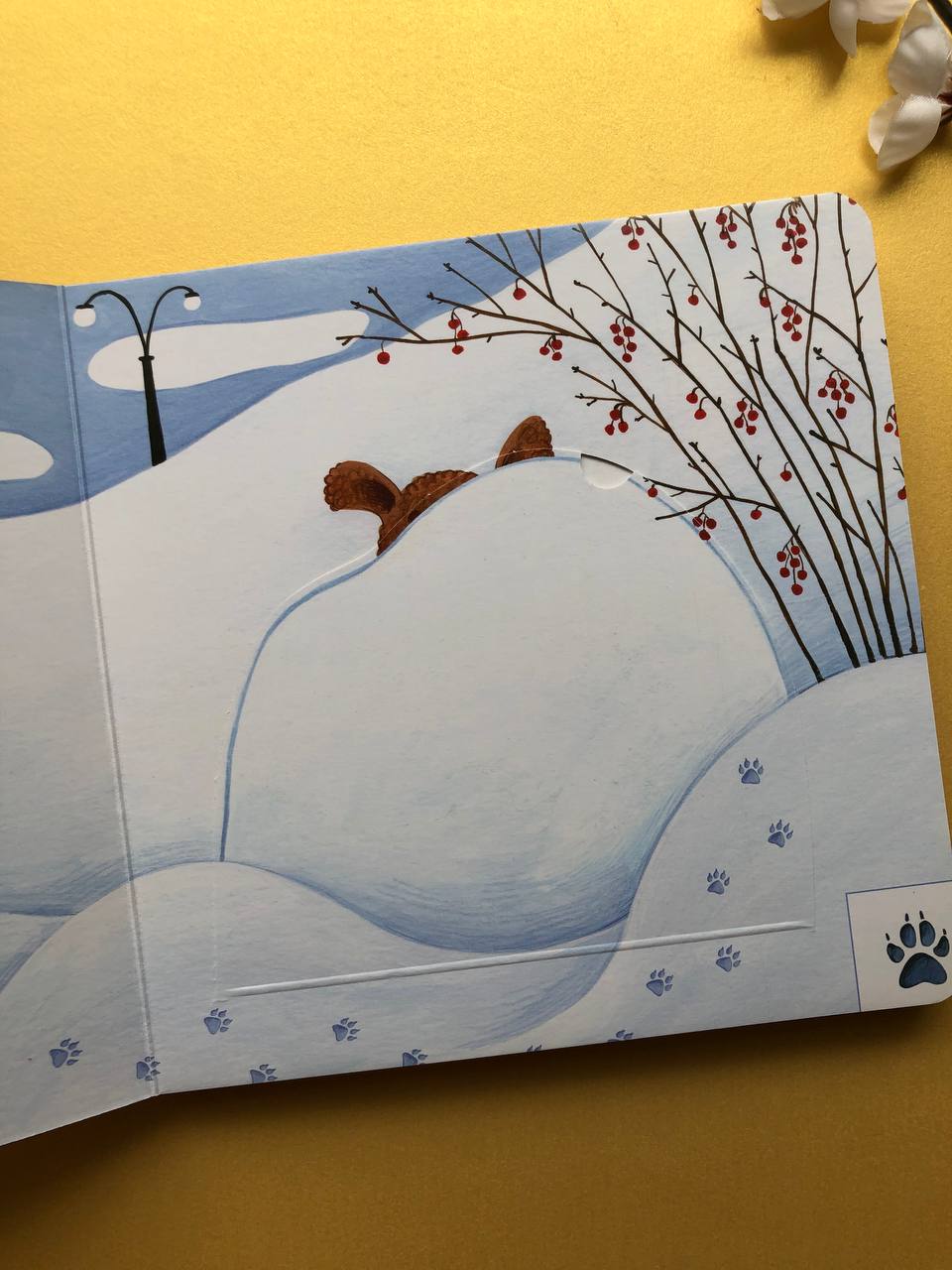 Слідопитенята. Катерина Міхаліцина