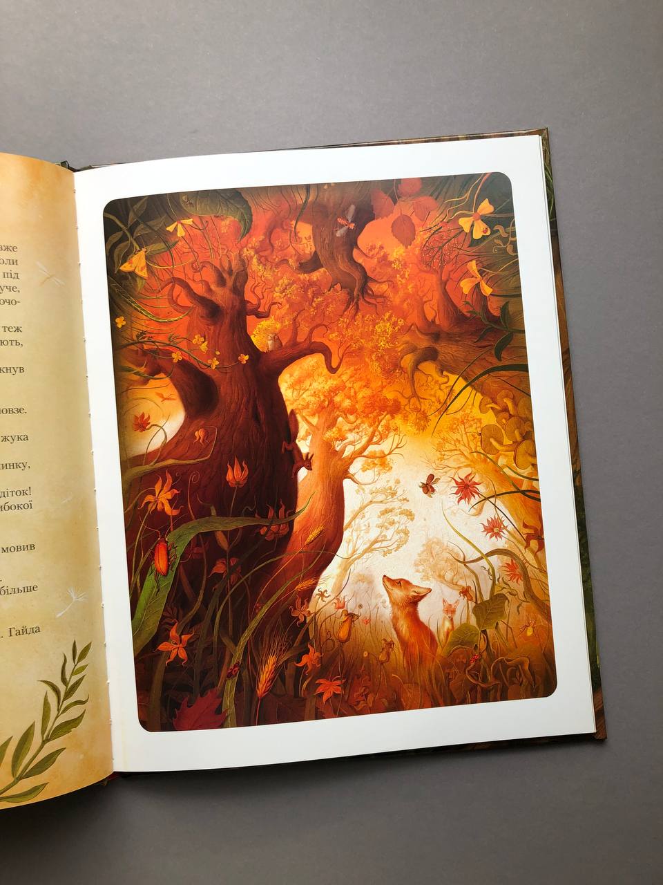 Шустрик. Мар'яна Князевич